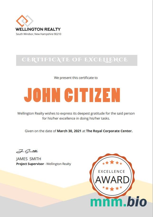 USA Excellence cert Version 2